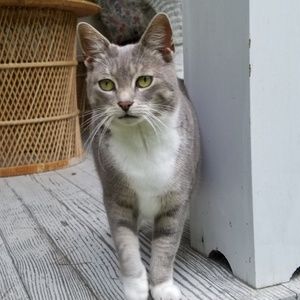 Meet your Posher, Amelia